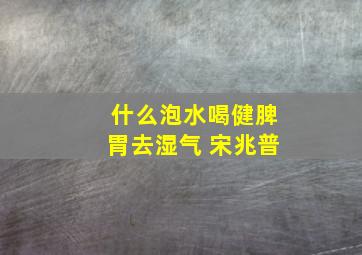 什么泡水喝健脾胃去湿气 宋兆普